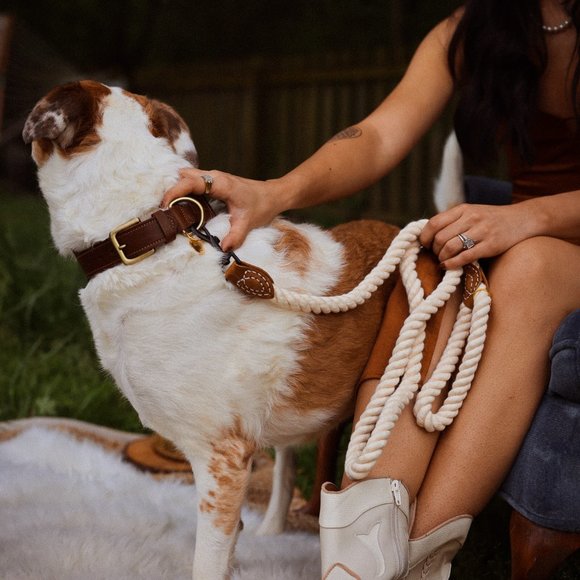 Ivory Rope Leash - Picture 1 of 5